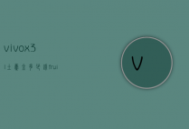 vivox3l土豪金多少钱（fruit词组）