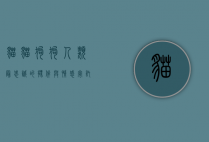 猫猫狗狗，人类最忠诚的伙伴与情感寄托