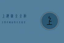 上海汇金，金融巨擘的崛起与未来展望