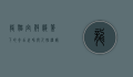 龙猫，宫崎骏笔下的奇幻世界与人性温暖