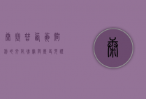 康塞普西翁，智利的文化瑰宝与历史见证