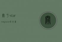 关于starmagnolia是什么色的信息