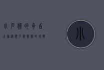 小石猴的奇幻之旅，从顽石到灵猴的蜕变