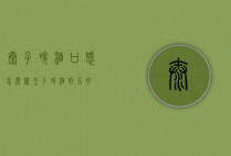 太子啤酒口感怎么样（王子啤酒好不好）