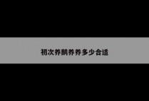 初次养鹅养养多少合适
