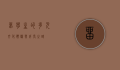 留学生的多元文化体验与成长之路