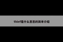 thief是什么意思的简单介绍