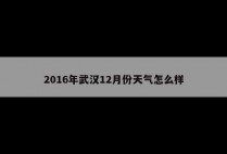 2016年武汉12月份天气怎么样