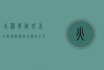 火鸡养殖成本分析，从雏鸡到成鸡的全方位经济考量