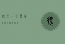 探索三亚，热带天堂的旅游指南