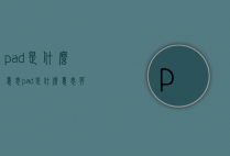 pad是什么意思（pad是什么意思英语）