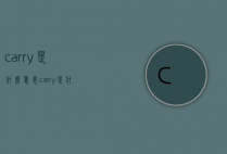 carry是什么意思（carry是什么意思翻译成中文）