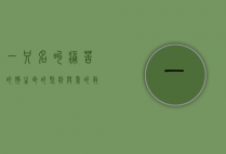 一只名叫痛苦的狗，生命的坚韧与爱的救赎