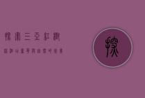 探索三亚红树林酒店，奢华与自然的完美融合