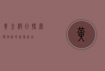 黄金假日，探索与放松的完美结合