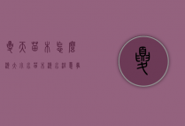 夏天苗木怎么浇大小水（苗木浇水注意事项）