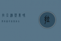 拉亚汉堡，美味与创新的完美结合