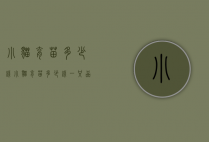 小猫育苗多少钱（小猫育苗多少钱一只,品质之选!）