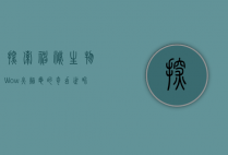 探索神秘生物，Wow火焰龟的奇幻世界