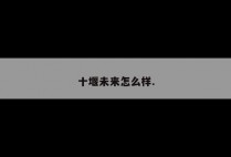 十堰未来怎么样.