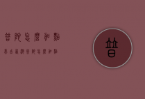 普陀怎么加点（梦幻西游普陀怎么加点）