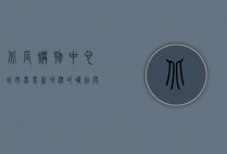 北辰购物中心，城市商业新地标的崛起与发展