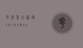 花枝鼠，小宠物的魅力与养护指南