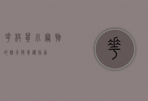 花枝鼠，小宠物的魅力与养护指南