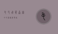 毛耳飞鼠，森林中的神秘滑翔者