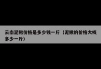 云南泥鳅价格是多少钱一斤（泥鳅的价格大概多少一斤）