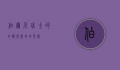 伯尔尼，瑞士的心脏与历史的见证