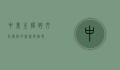 中美主播，跨文化传播的桥梁与挑战