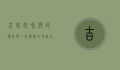 吉娃娃和他的伙伴们，一段温馨的友谊之旅