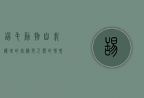 舔毛，动物自我护理的奥秘与人类的情感投射