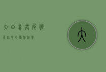 大白鼻长尾猴，雨林中的优雅精灵
