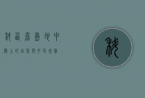 科西嘉岛，地中海上的自然与文化瑰宝