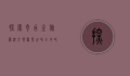探索奇幻之旅，芜湖方特欢乐世界全攻略