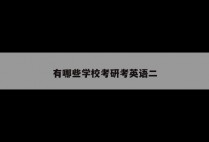 有哪些学校考研考英语二