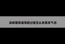 自制葡萄酒发酵过程怎么有很多气泡