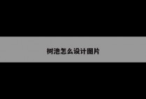 树池怎么设计图片