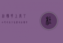 杜鹃花上长了白色的虫子怎么冶（杜鹃花盆底下有白色的虫子）
