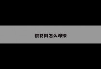 樱花树怎么嫁接