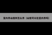 室内养山楂树怎么养（山楂可以在室内养吗）