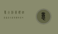 意大利签证拒签，原因分析与应对策略