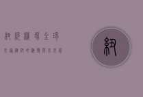 纽约机场，全球交通枢纽的演变与未来展望