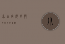 小白宫，历史与文化的交汇点