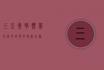 三亚桑拿，热带天堂中的身心放松之旅