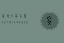 冬青小苗怎么生长的快（冬青苗能长多高）