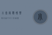 小太阳鹦鹉，热带雨林中的五彩精灵