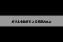 笔记本电脑开机之后黑屏怎么办